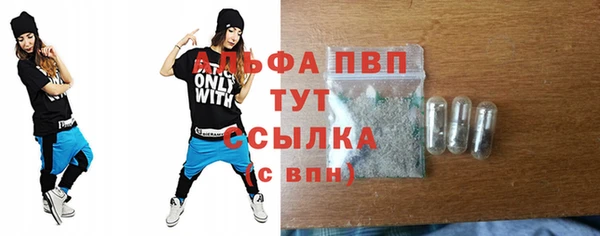 дживик Верхний Тагил