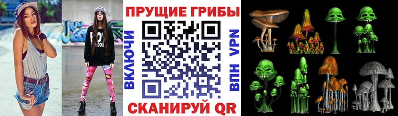 kraken онион  Сретенск  Псилоцибиновые грибы ЛСД 